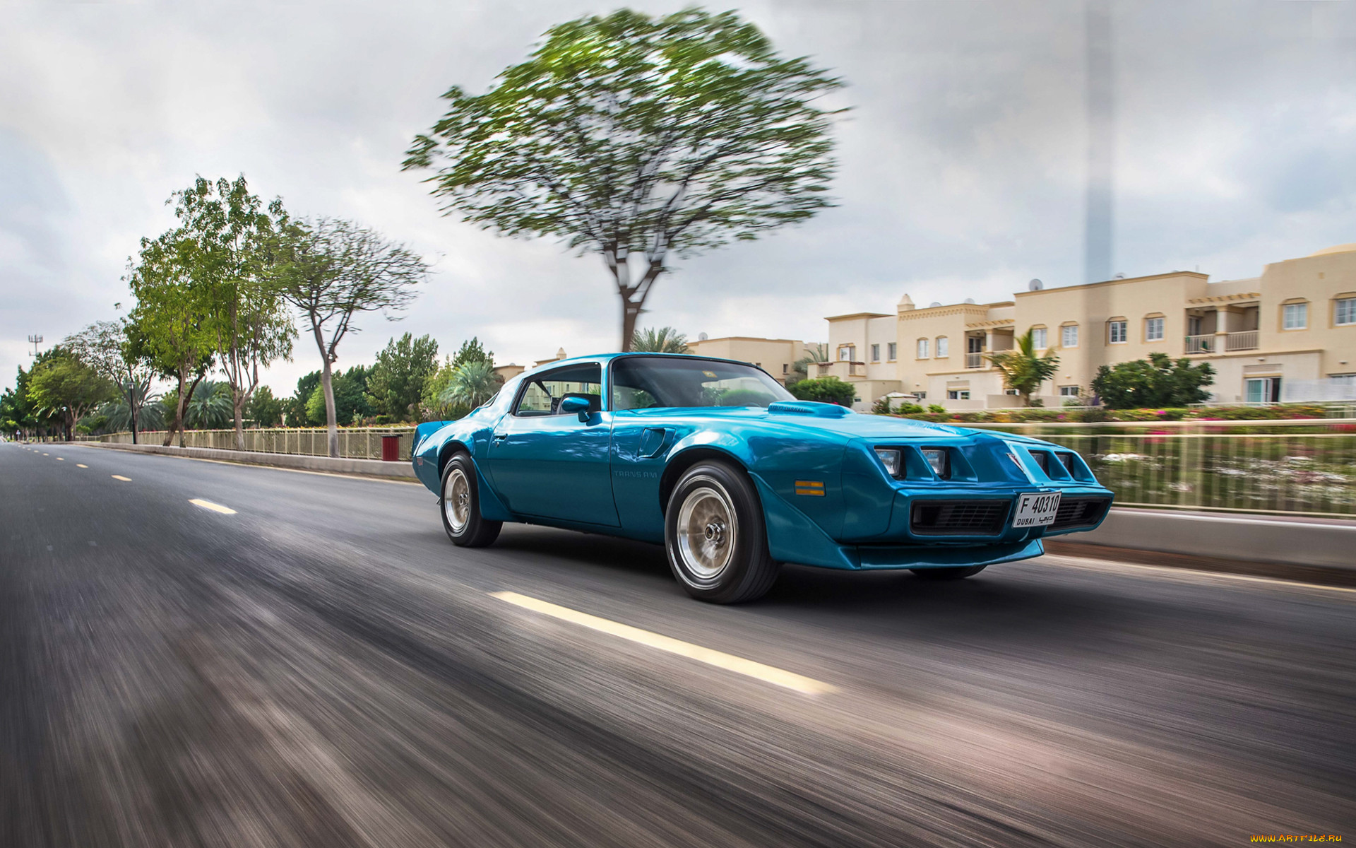 , pontiac